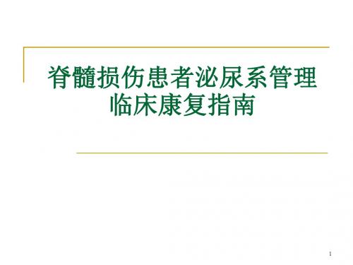 脊髓损伤患者泌尿系管理指南PPT医学课件