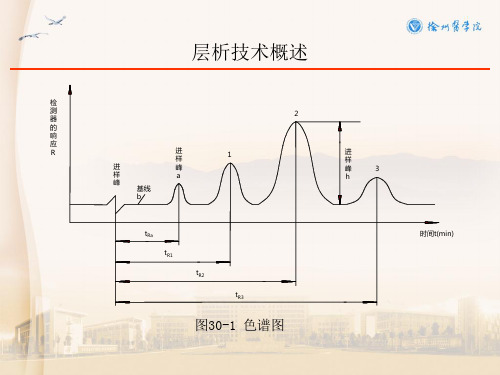 吸附层析法柱层析法