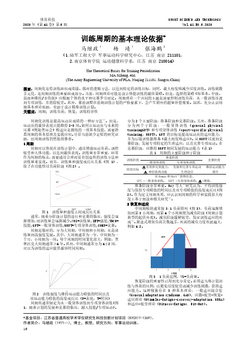 训练周期的基本理论依据