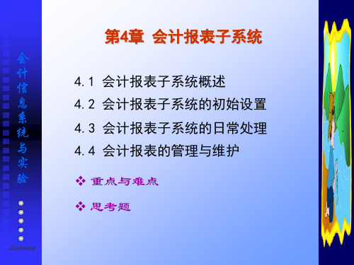 会计信息系统与实验第4章会计报表子系统.ppt