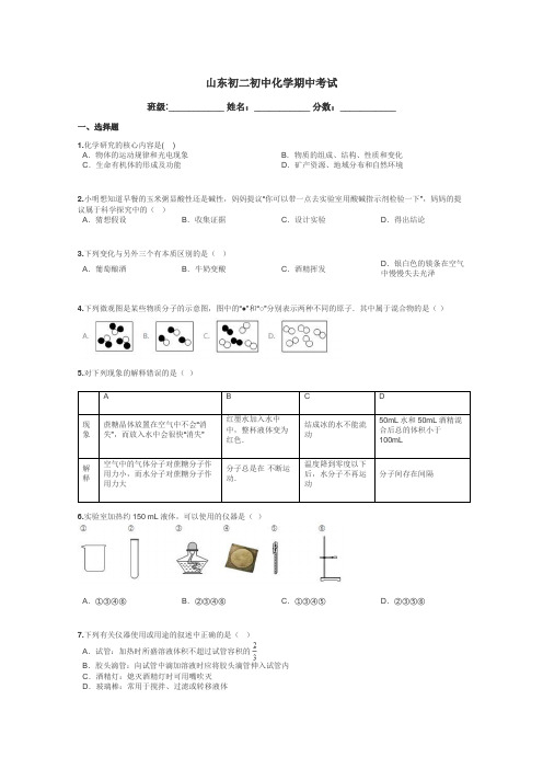 山东初二初中化学期中考试带答案解析
