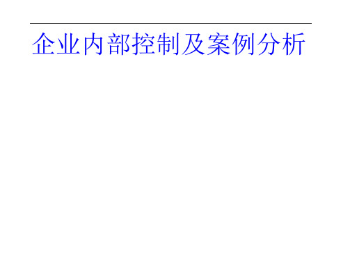 XXXX企业内部控制及案例分析