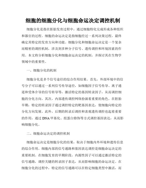 细胞的细胞分化与细胞命运决定调控机制