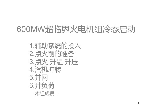 600MW超临界火电机组冷态启动PPT课件