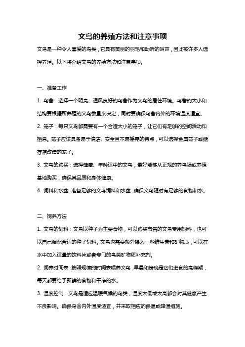 文鸟的养殖方法和注意事项