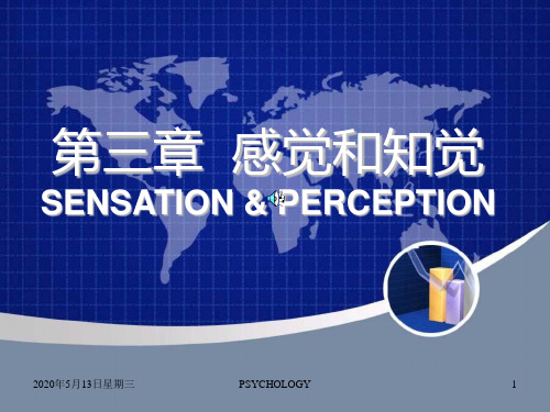 3 感知觉sensation&perception