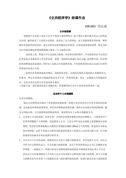 公共经济学案例分析