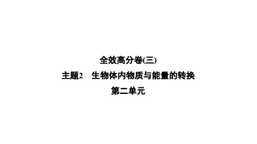 2020届中考科学 课件：全效高分卷(三)主题2 生物体内物质与能量的转换 (共29张PPT)