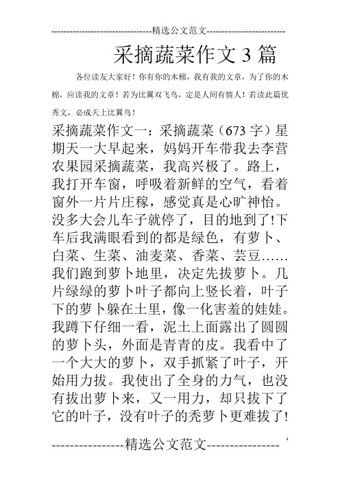 采摘蔬菜作文3篇