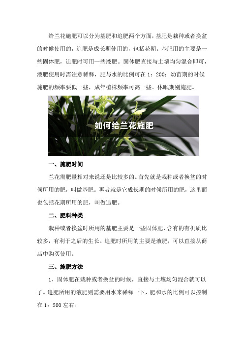 兰花施肥方法,用什么肥好