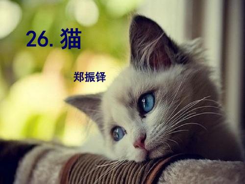 26.猫_郑振铎