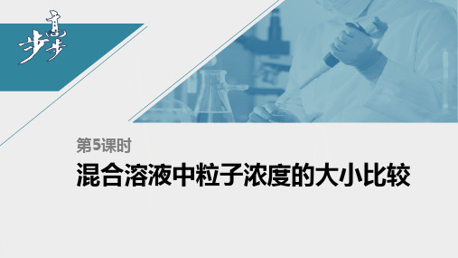 21-22版：3.3.5 混合溶液中粒子浓度的大小比较（步步高）