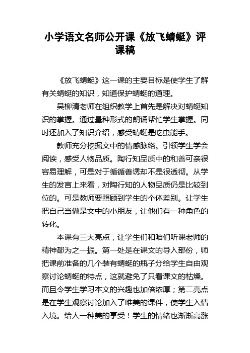 小学语文名师公开课放飞蜻蜓评课稿