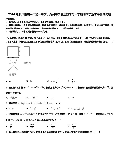 2024年浙江省嘉兴市第一中学、湖州中学高三数学第一学期期末学业水平测试试题含解析