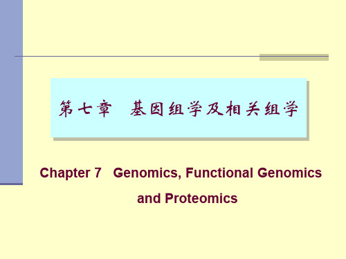 基因组学及相关组学ppt课件