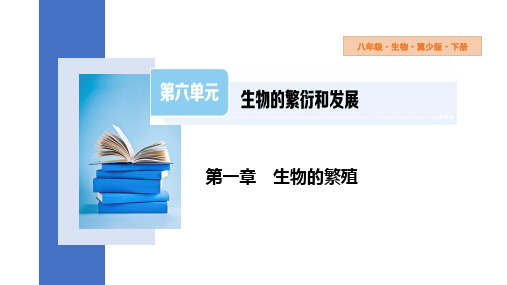 人的生殖和胚胎发育课件(共23张PPT)初中生物冀少版八年级下册