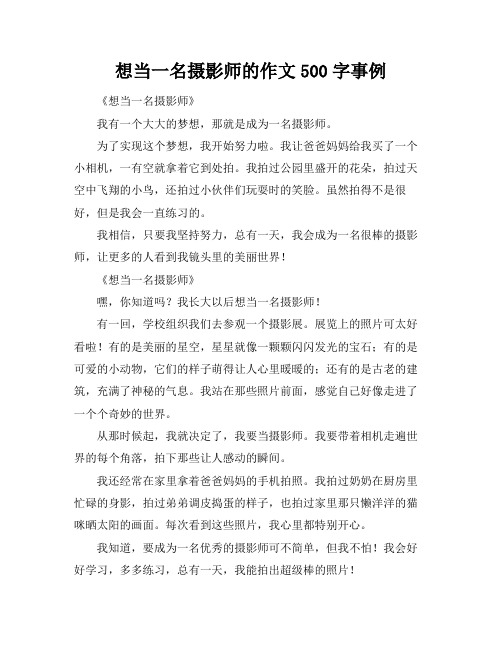 想当一名摄影师的作文500字事例