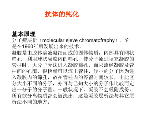 分子筛层析