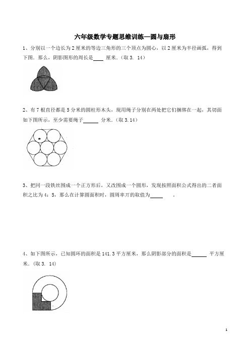 六年级数学专题思维训练—圆与扇形(含答案及解析)