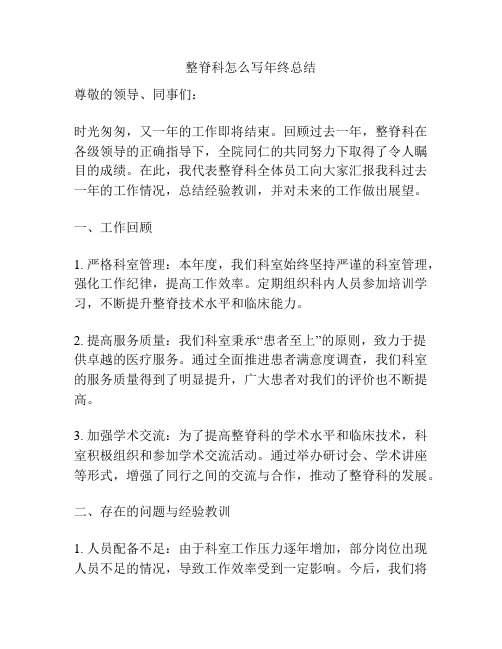 整脊科怎么写年终总结