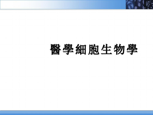 医学细胞生物学PPT：细胞核