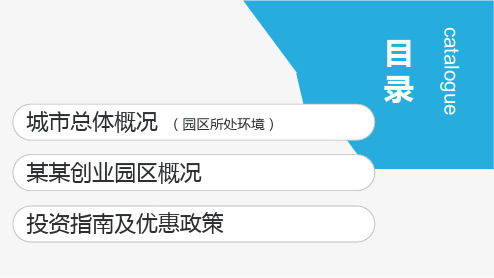 商务风城市经济开发区投资指南招商宣传内容PPT演示