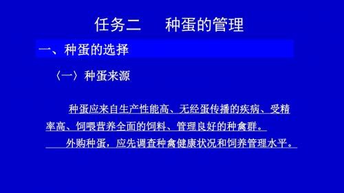 项目二  任务二 种蛋管理