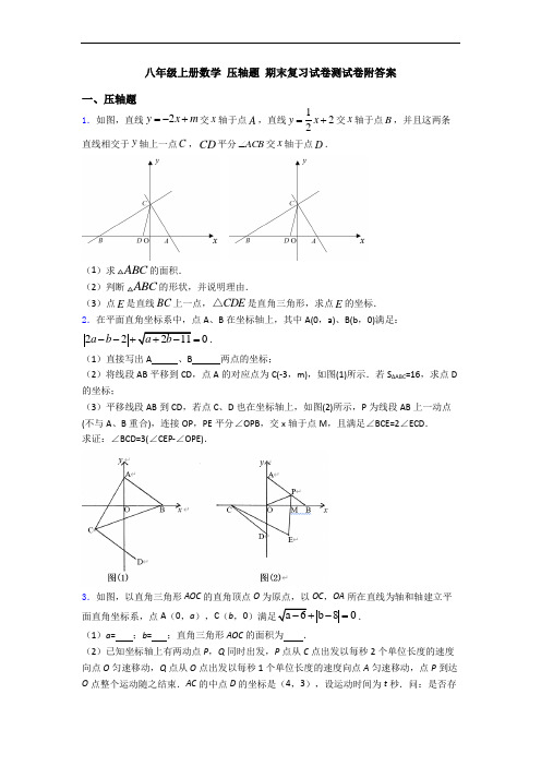 八年级上册数学 压轴题 期末复习试卷测试卷附答案