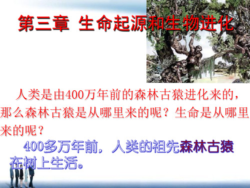 人教版八年级下册3.1 地球上生命的起源 课件(39张PPT)