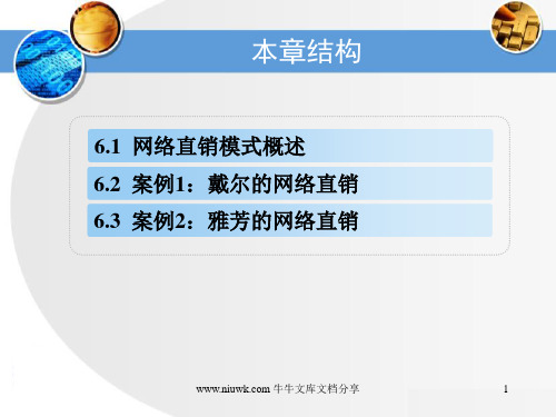 网络直销模式案例分析