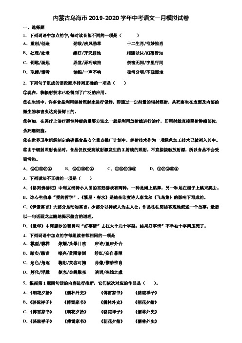 内蒙古乌海市2019-2020学年中考语文一月模拟试卷含解析