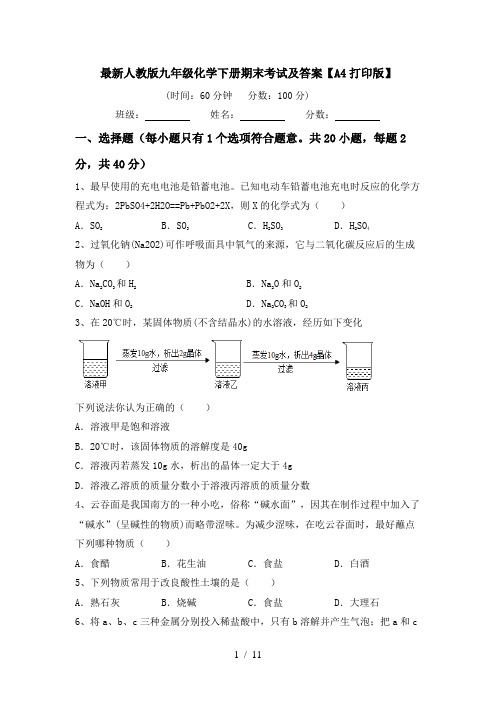 最新人教版九年级化学下册期末考试及答案【A4打印版】