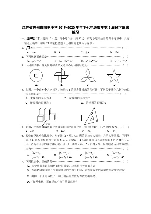 江苏省苏州市同里中学2019-2020年下七年级数学第6周线下周末练习(无答案)