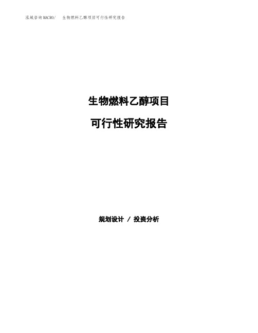 生物燃料乙醇项目可行性研究报告发改委立项模板