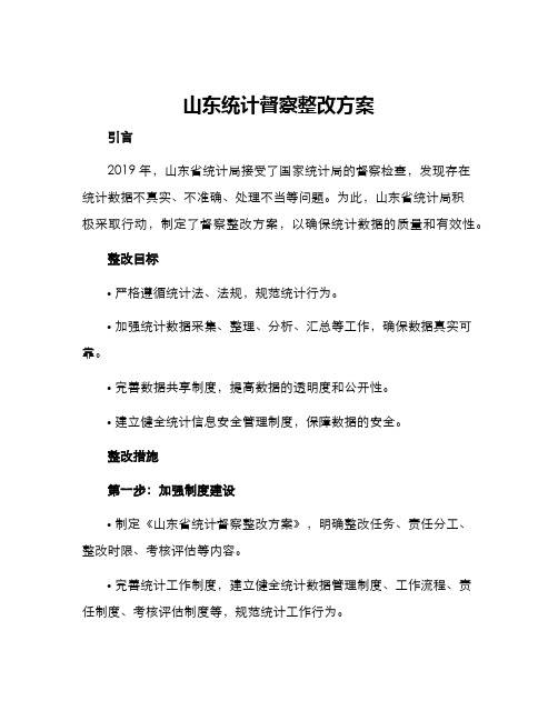 山东统计督察整改方案