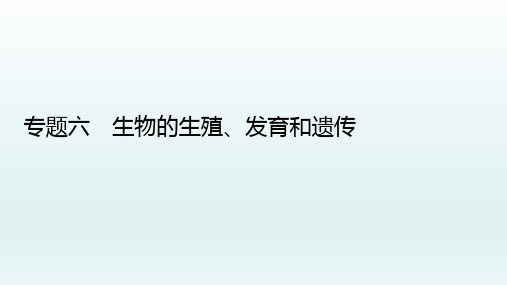 2023年中考生物总复习课件:生物的生殖、发育和遗传