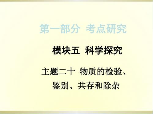 中考化学总复习主题二十物质的检验、鉴别、共存和除杂课件