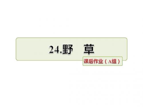 2019五年级上册语文课件-24.野草 作业(A组)_长春版 (共7张PPT)教育精品.ppt