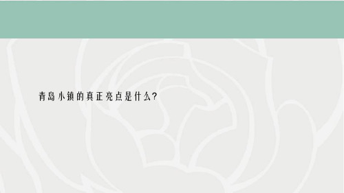 知名一线房地产企业小镇项目售楼处开放活动方案