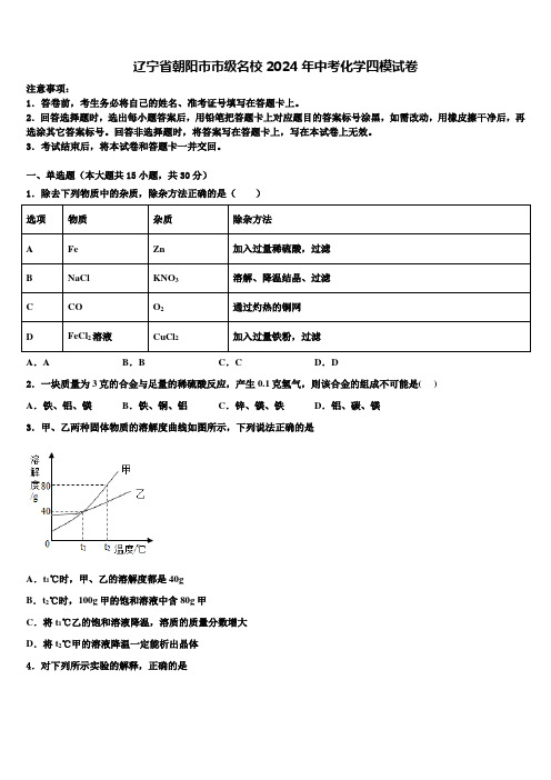 辽宁省朝阳市市级名校2024届中考化学四模试卷含解析