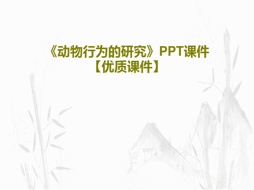 《动物行为的研究》PPT课件【优质课件】24页PPT