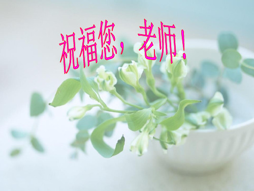 祝福您,老师教师节主题班会主题课件(共27张ppt)