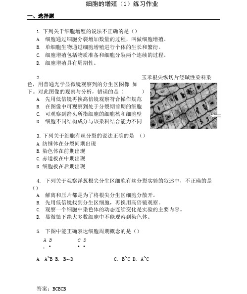 高一上册生物学《细胞的增殖》(1)练习作业