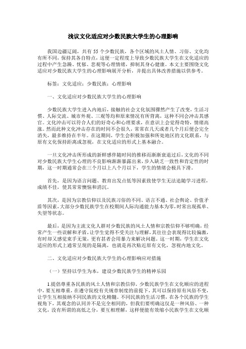 浅议文化适应对少数民族大学生的心理影响