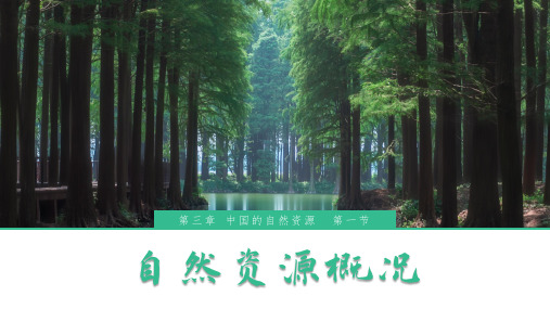 3.1 自然资源概况(课件)-2023-2024学年八年级上册地理精品课件(湘教版)