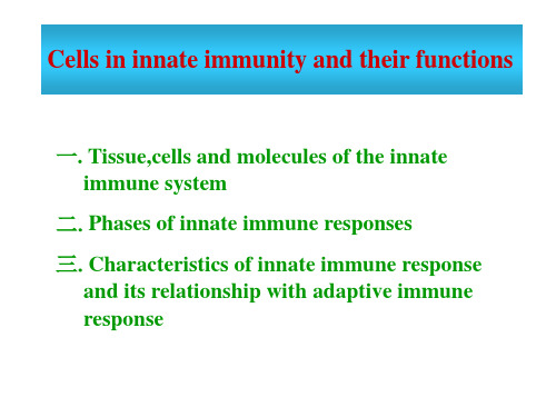 固有免疫细胞和功能(英文)