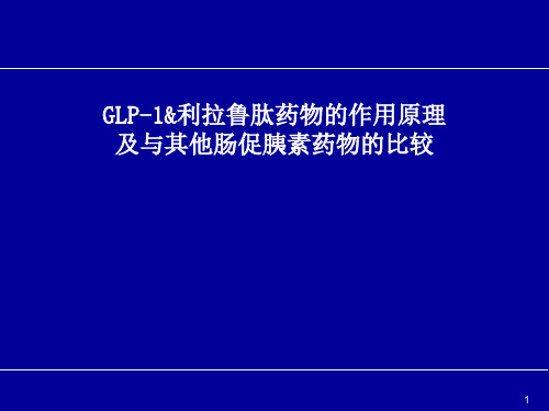 GLP-1作用机制PPT精选课件