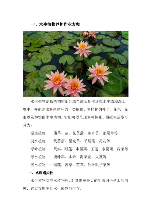 水生植物养护作业方案