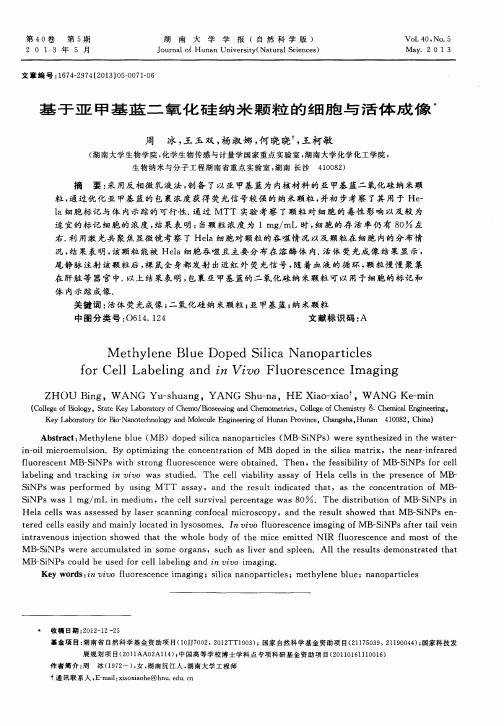 基于亚甲基蓝二氧化硅纳米颗粒的细胞与活体成像