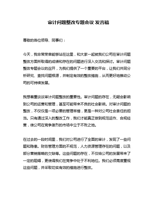 审计问题整改专题会议 发言稿